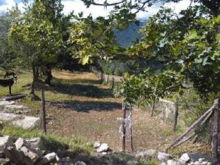 Terreno agricolo all'asta a rocca santa maria belvedere