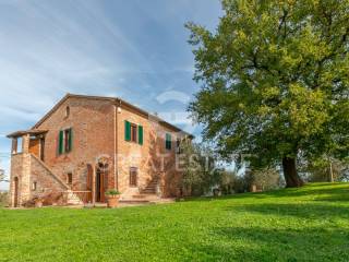 Casale in vendita a castiglione del lago 