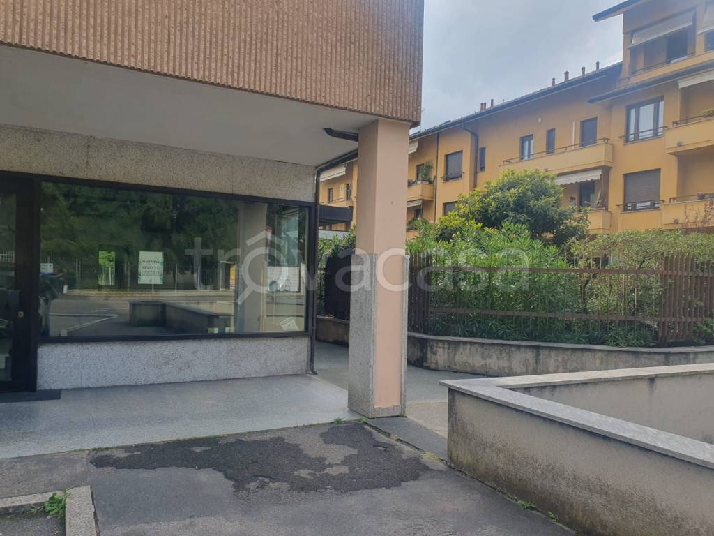 immagine annuncio 6 di 8