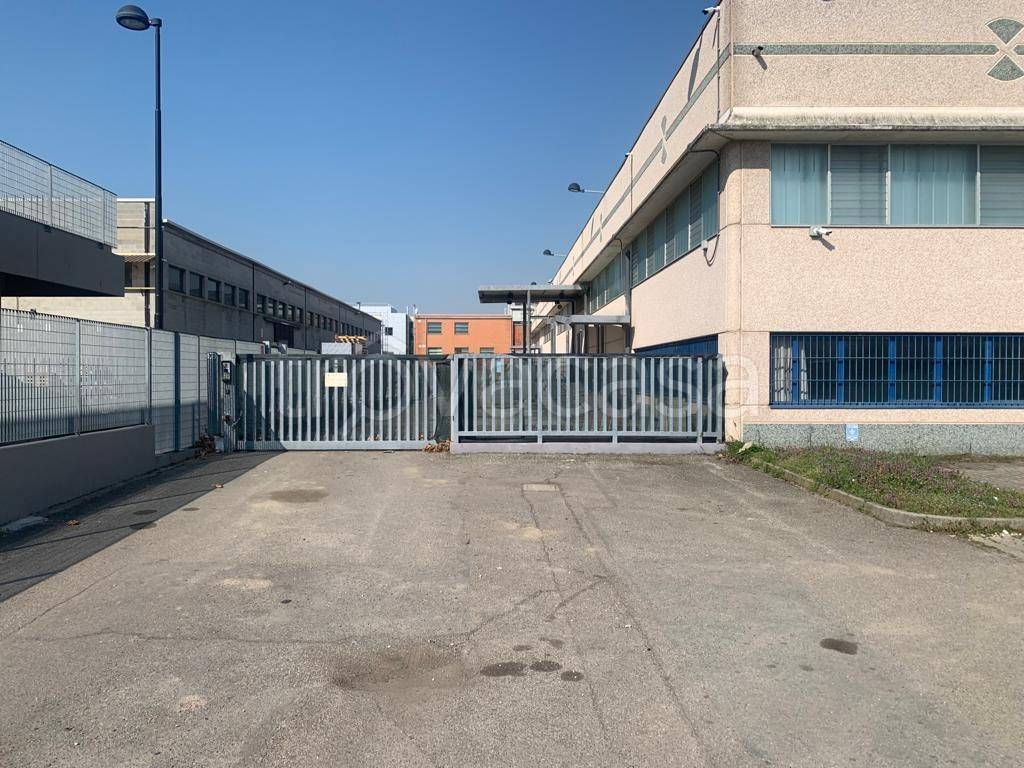 immagine annuncio 2 di 15