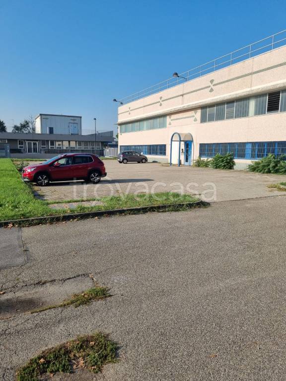 immagine annuncio 10 di 15