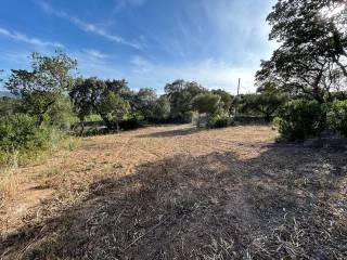 Terreno residenziale in vendita a olbia via del colle