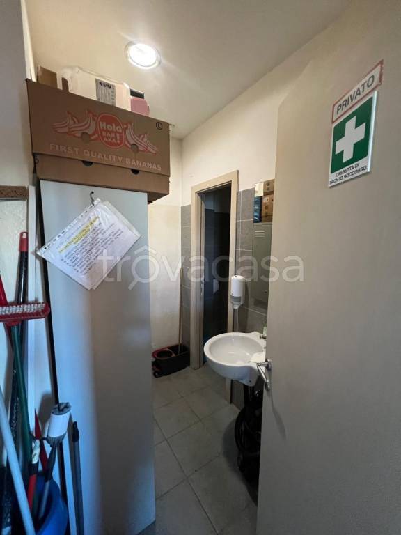immagine annuncio 11 di 14