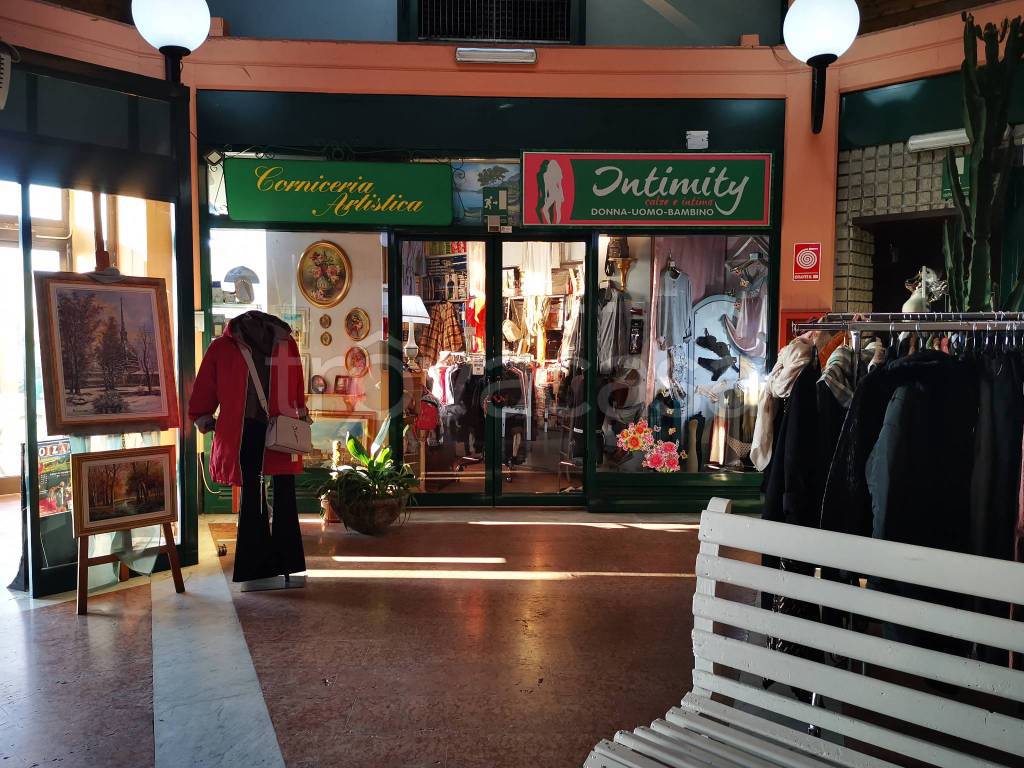 immagine annuncio 2 di 9