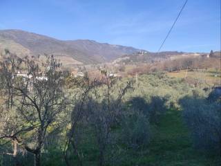 Terreno agricolo in vendita a caneva 