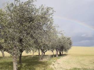 Terreno residenziale in vendita ad alanno via sant'antonio