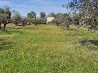 Terreno residenziale in vendita a rosciano via piano di coccia