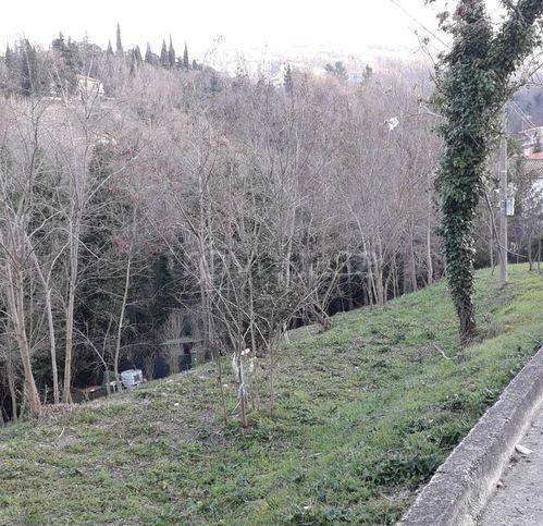 immagine annuncio 5 di 7