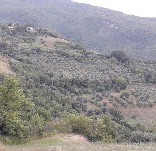 immagine annuncio 4 di 6