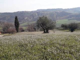 Terreno residenziale in vendita a casalincontrada via alento