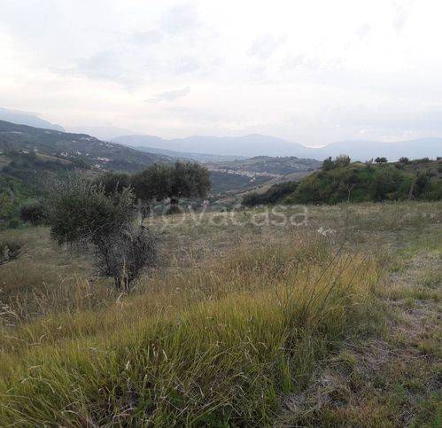 immagine annuncio 1 di 6