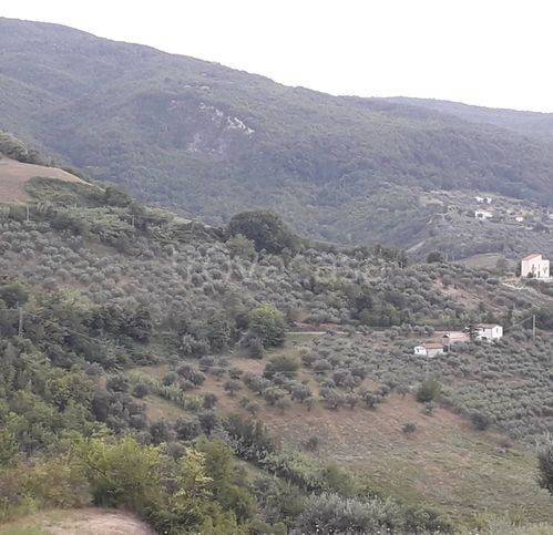 immagine annuncio 3 di 6