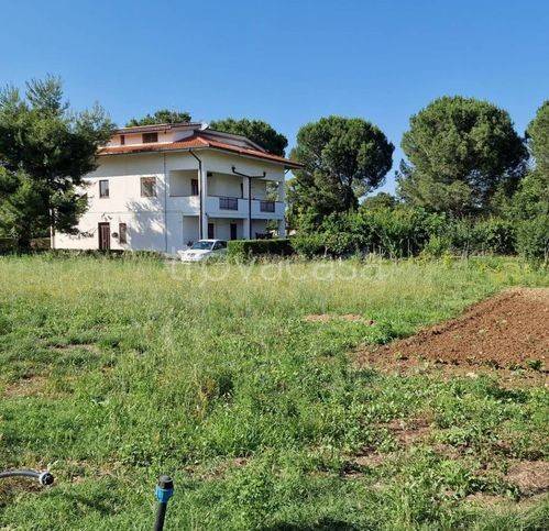 immagine annuncio 2 di 4