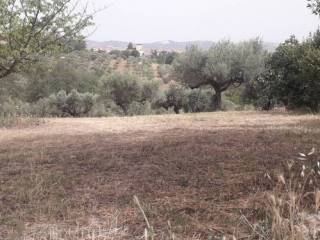 Terreno residenziale in vendita a cepagatti via stella