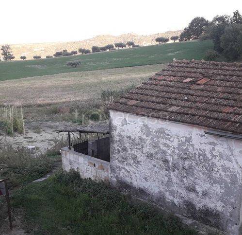 immagine annuncio 8 di 14
