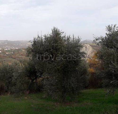 immagine annuncio 2 di 11