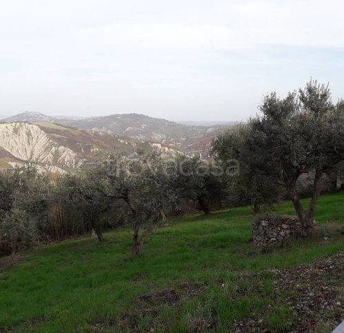 immagine annuncio 3 di 11