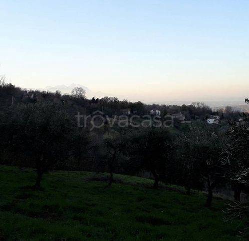 immagine annuncio 4 di 11