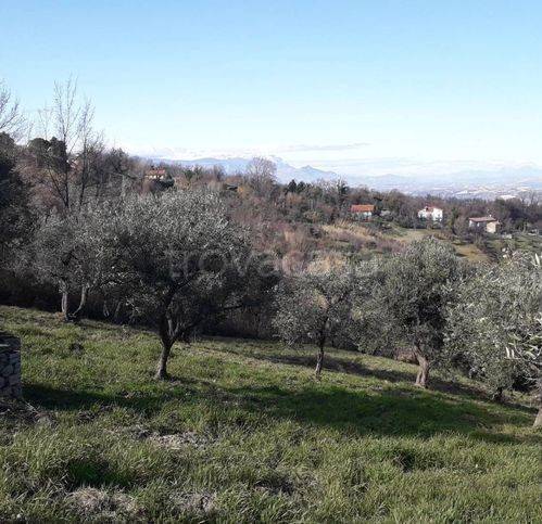 immagine annuncio 10 di 11