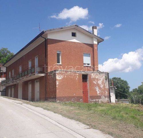 immagine annuncio 12 di 14