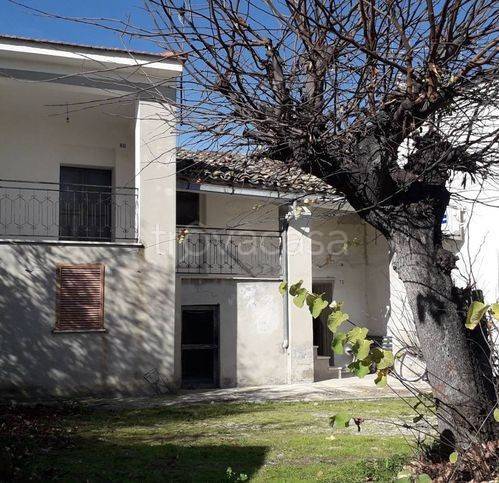 immagine annuncio 2 di 12