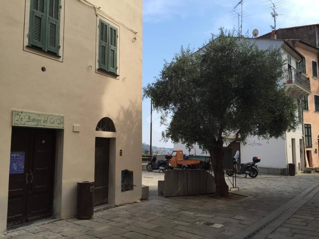 immagine annuncio 9 di 11