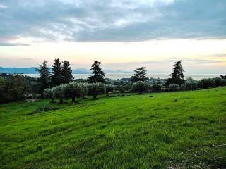 Terreno agricolo in vendita a passignano sul trasimeno 