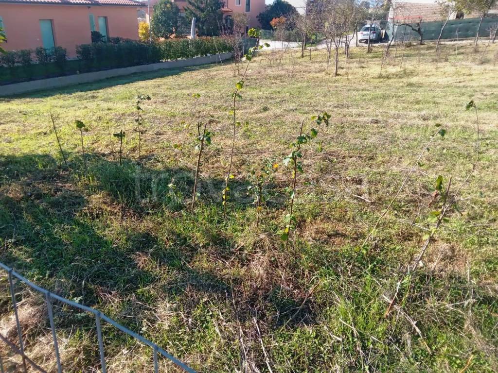 immagine annuncio 6 di 12