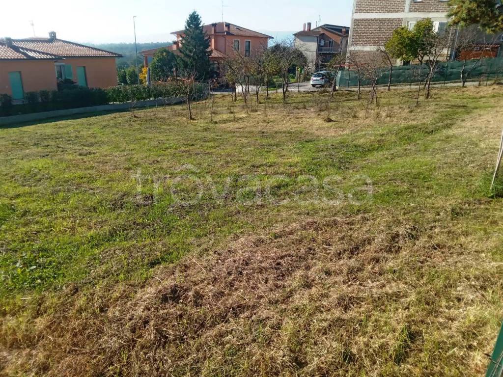 immagine annuncio 10 di 12