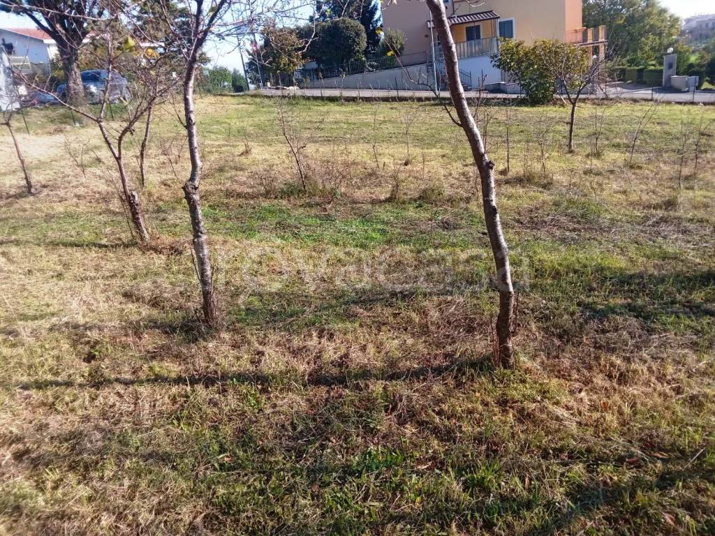 immagine annuncio 11 di 12