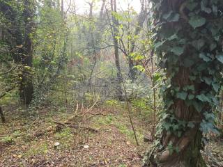 Terreno agricolo in vendita ad antignano strada val del boi