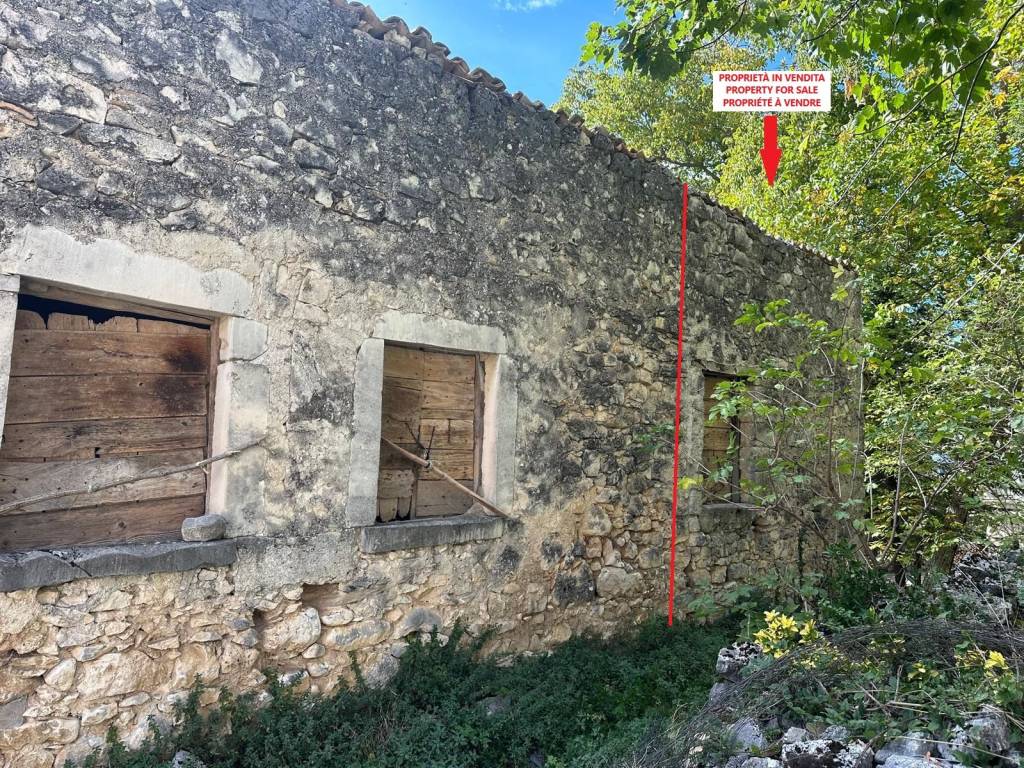 immagine annuncio 6 di 7