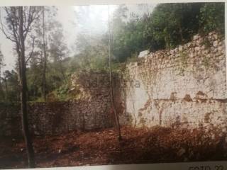 Terreno agricolo in vendita a narni via flaminia romana