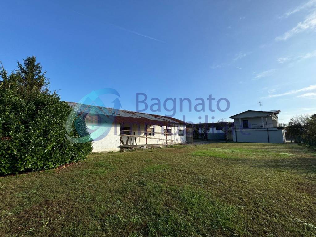 immagine annuncio 3 di 8