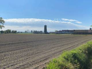 Terreno agricolo all'asta a peschiera borromeo strada vicinale della pestazza