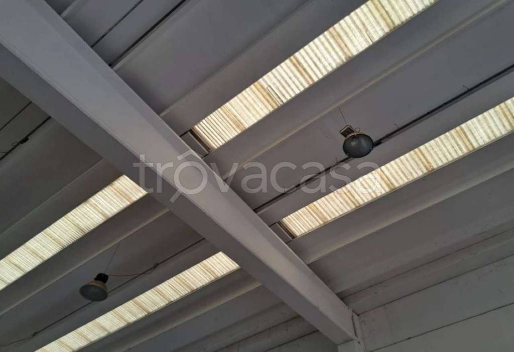immagine annuncio 5 di 8