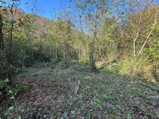 Terreno agricolo in vendita a rocca priora via calcara muratella