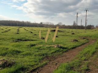 Terreno industriale in vendita a riardo via saudina