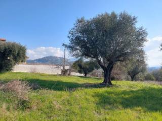 Terreno residenziale in vendita a sant'angelo romano via quarticciolo