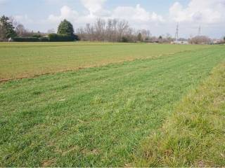 Terreno agricolo in vendita a cislago via virgilio, 533