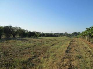 Terreno residenziale in affitto ad albano laziale santa maria in fornarola