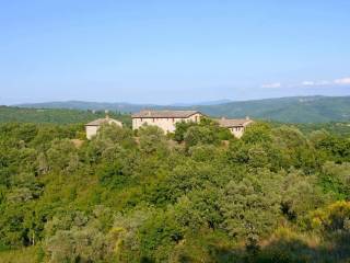 Colonica in vendita a castelnuovo berardenga 