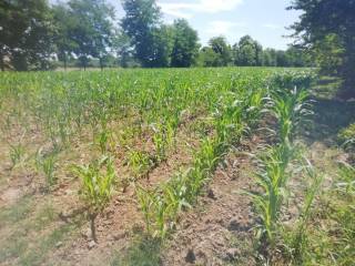 Terreno agricolo in vendita a vedelago via castelletti, 1