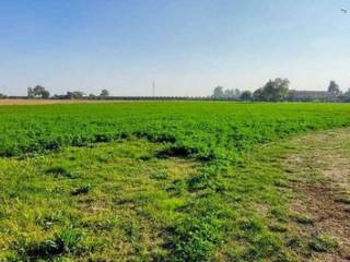 Terreno agricolo in vendita a desio 