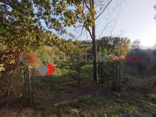 Terreno agricolo in vendita ad anagni via prignano di sopra, snc