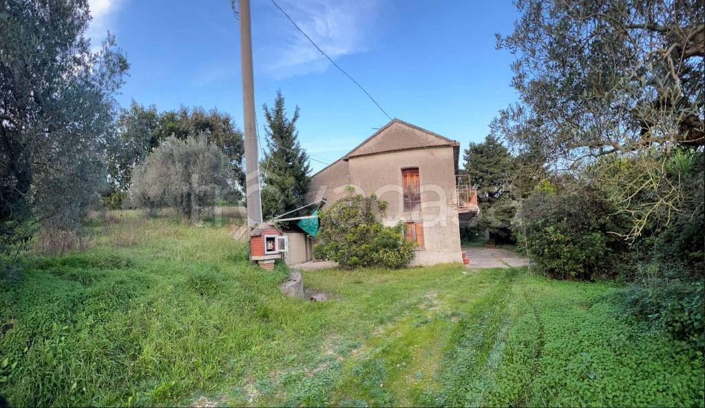 immagine annuncio 2 di 14