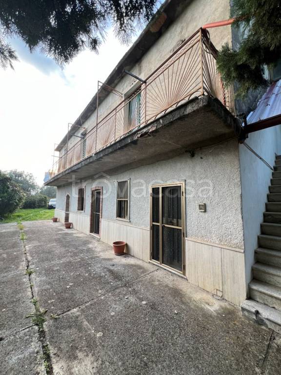 immagine annuncio 3 di 14