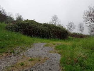 Terreno agricolo all'asta a ponteranica via detesalvo lupi