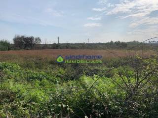 Terreno agricolo in vendita a giugliano in campania via ripuaria