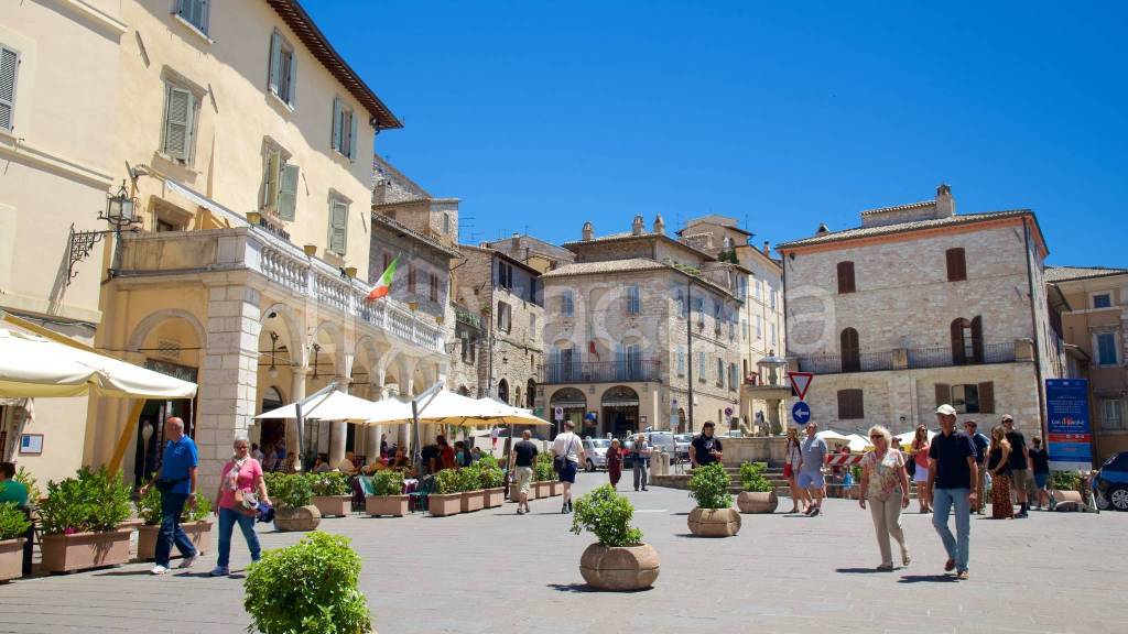 immagine annuncio 9 di 12